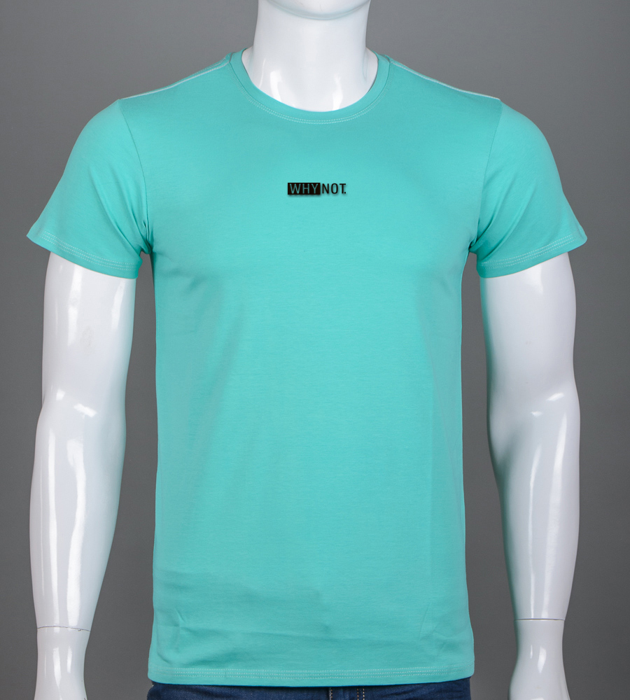 Футболка чоловіча Why Not 2614м (Уп.4шт M-XXL), М'ята 1