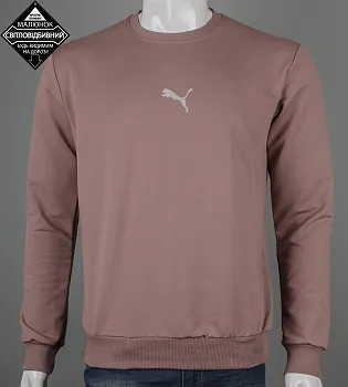 Світшот чоловічий Puma Reflective 7431с (Уп.4шт M-XXL), Капучино