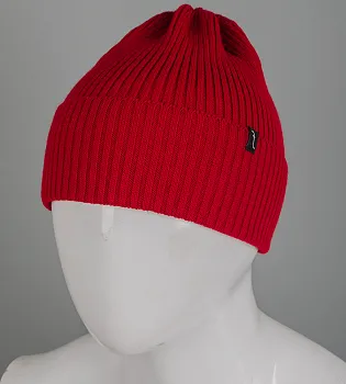 Молодіжна Шапка-Цибулька (241032), Червоний