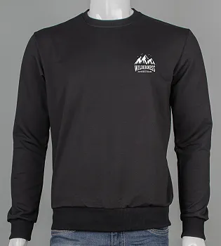 Світшоти чоловічі